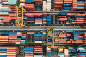 プロジェクトの画像